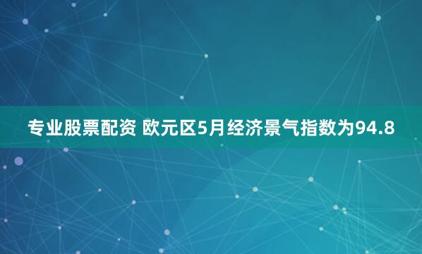 专业股票配资 欧元区5月经济景气指数为94.8